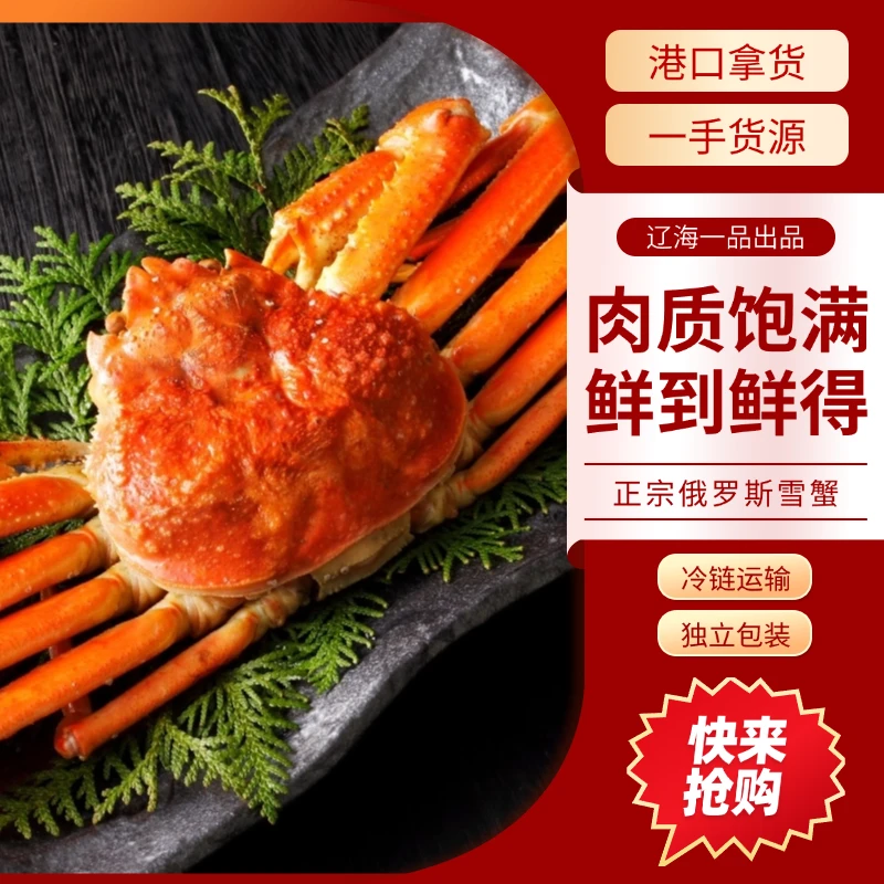 【年货明星】正宗俄罗斯雪蟹整只+三只雪蟹腿肉质饱满鲜到鲜得