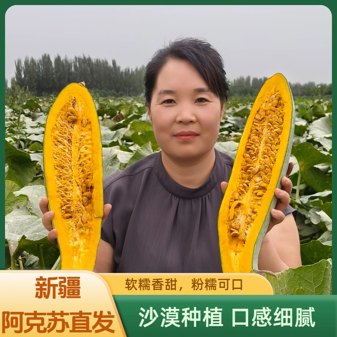 【四妹专属】【新疆贵族丑南瓜】新疆直发沙漠种植口感细腻软糯香粉糯