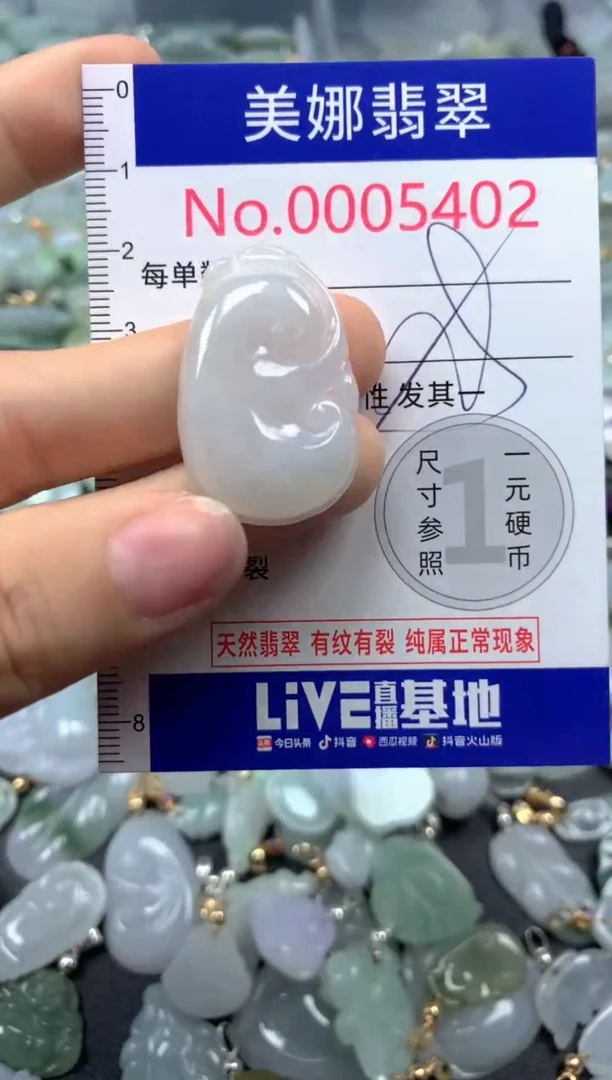 颈饰未镶嵌翡翠5402