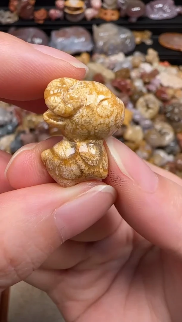 硅化珊瑚（珊瑚玉）未镶嵌颈饰412