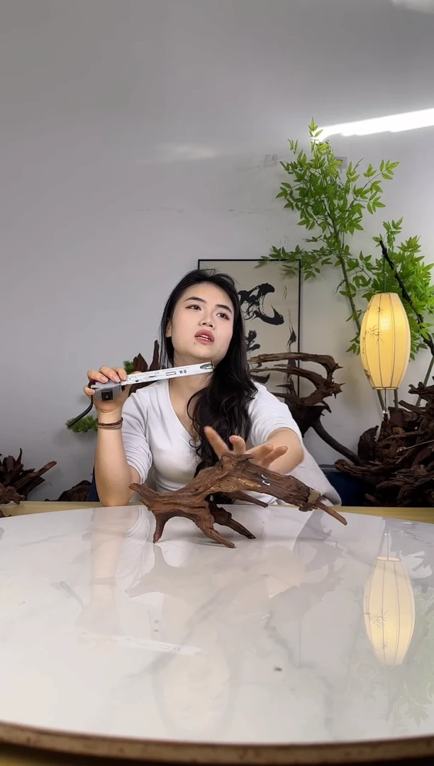 我****%拍沉木定向链接编号2