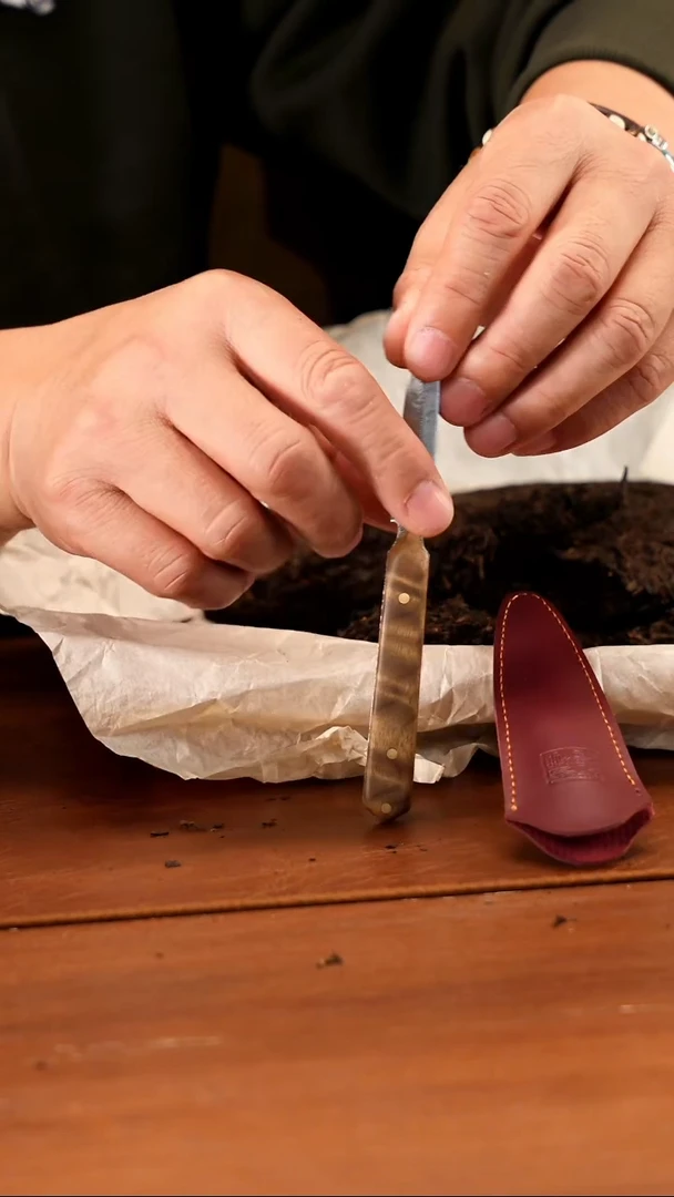 JSN金丝楠柄茶刀