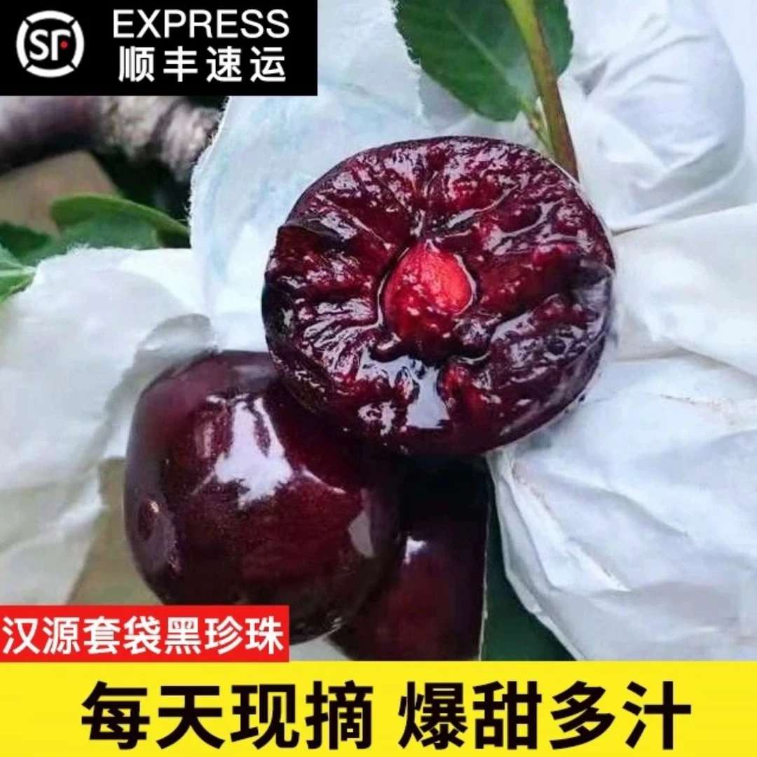 【顺丰/京东】当季新鲜水果甜樱桃汉源车厘子大樱桃鲜果3斤/5斤现摘