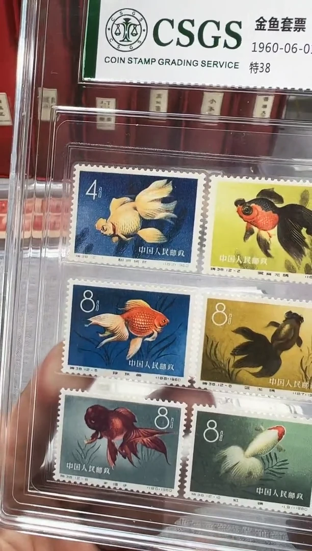 金鱼 邮票 鉴定评级