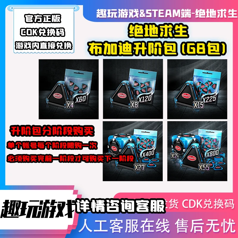 PUBG绝地求生布加迪进阶包CDK兑换码激活码升阶包G币包