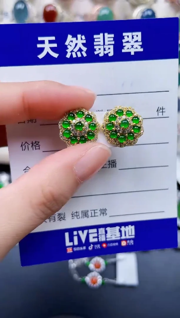银S925镶嵌翡翠耳饰120