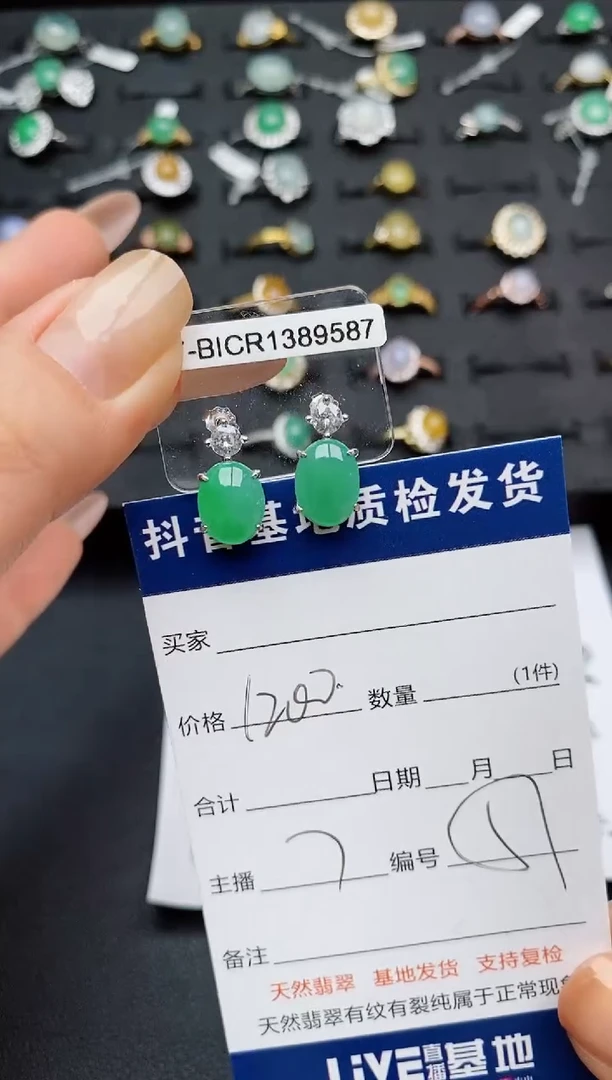 翡翠银S925镶嵌颈饰............