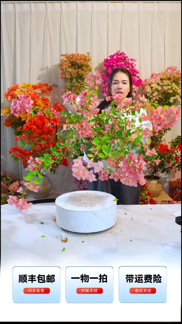 大部分开放少量花苞卡亚塔