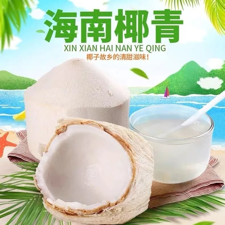 【顺丰送货上门】海南新鲜椰青精选大果9个装(送开椰器+吸管）椰青