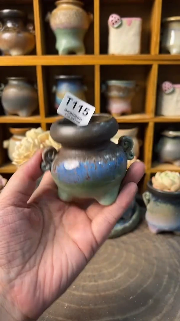 115 内口4【多肉花盆多肉盆】