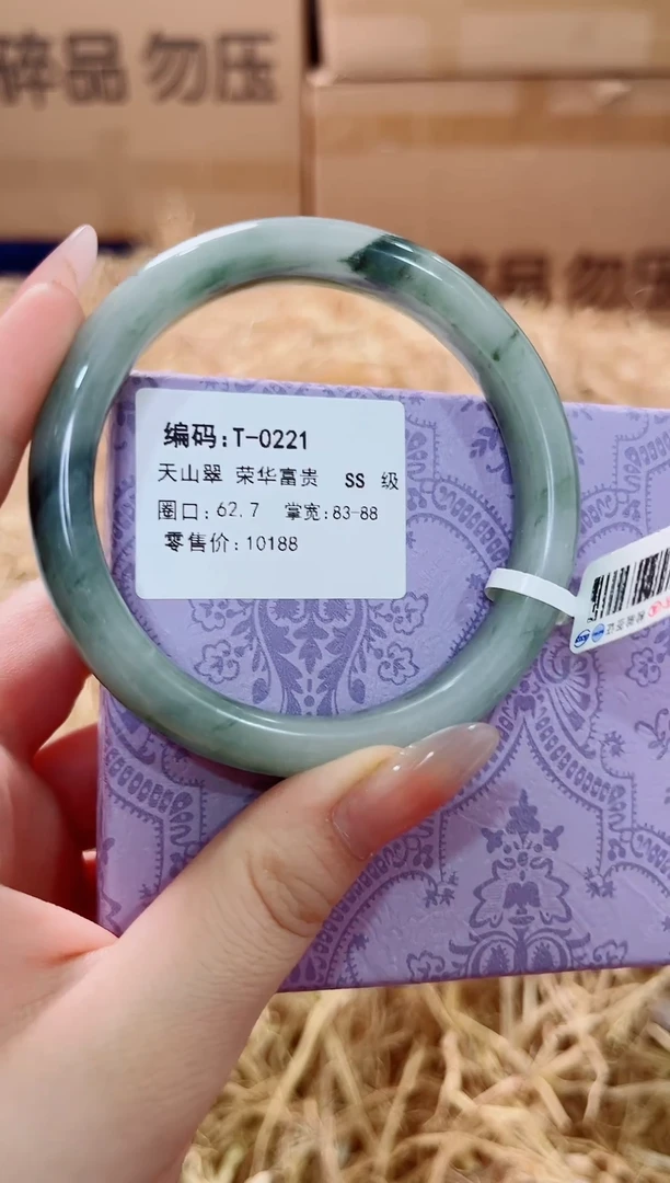 未镶嵌手镯石英质玉T-0221