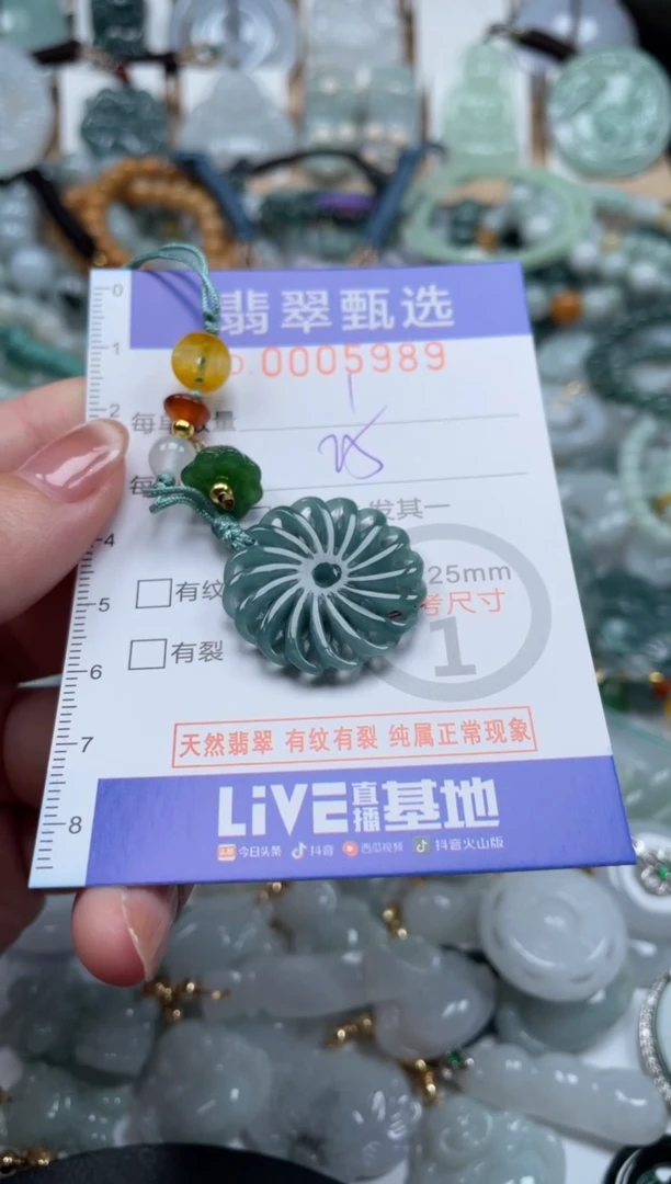 翡翠未镶嵌颈饰00..5989