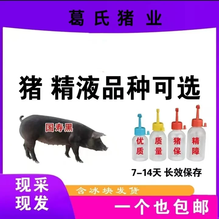 原种国寿黑种公猪精60ml2瓶原种国寿黑种公猪精一个液包邮保活