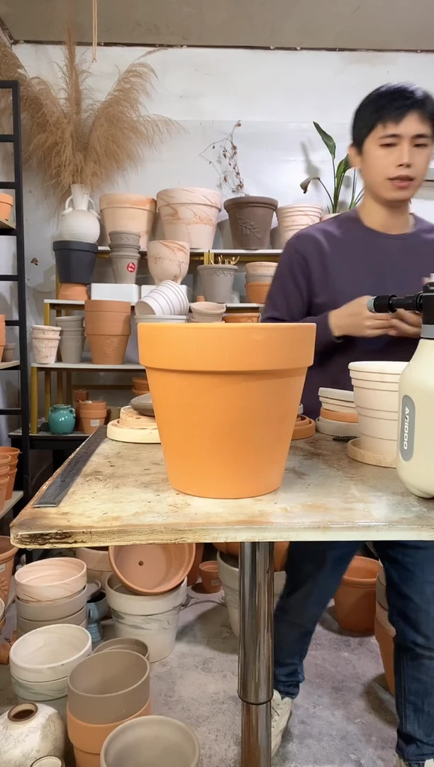 23*21红陶国际 1盆无托