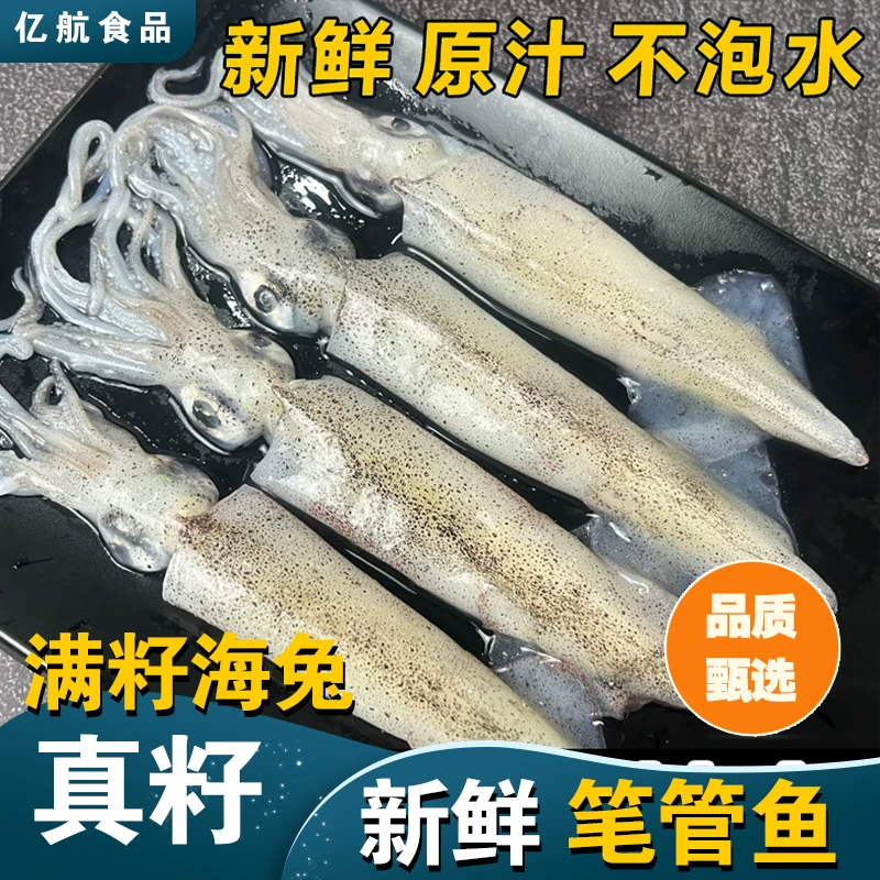 野生海捕海兔鲜活带籽笔管鱼籽乌软足类海鲜3斤公送1斤母02