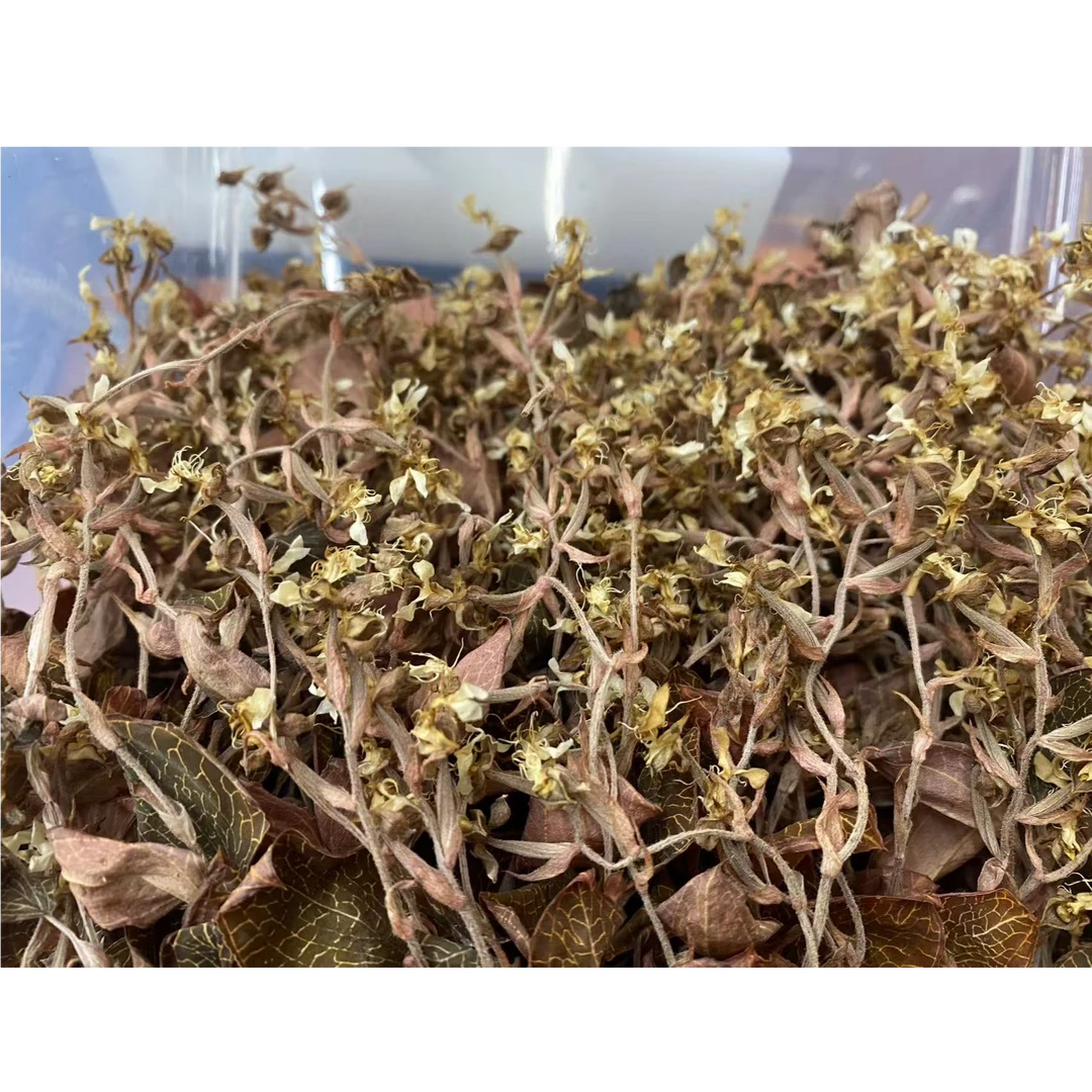 老褚选品,林下防仿野生种植红霞金线莲100-250克,