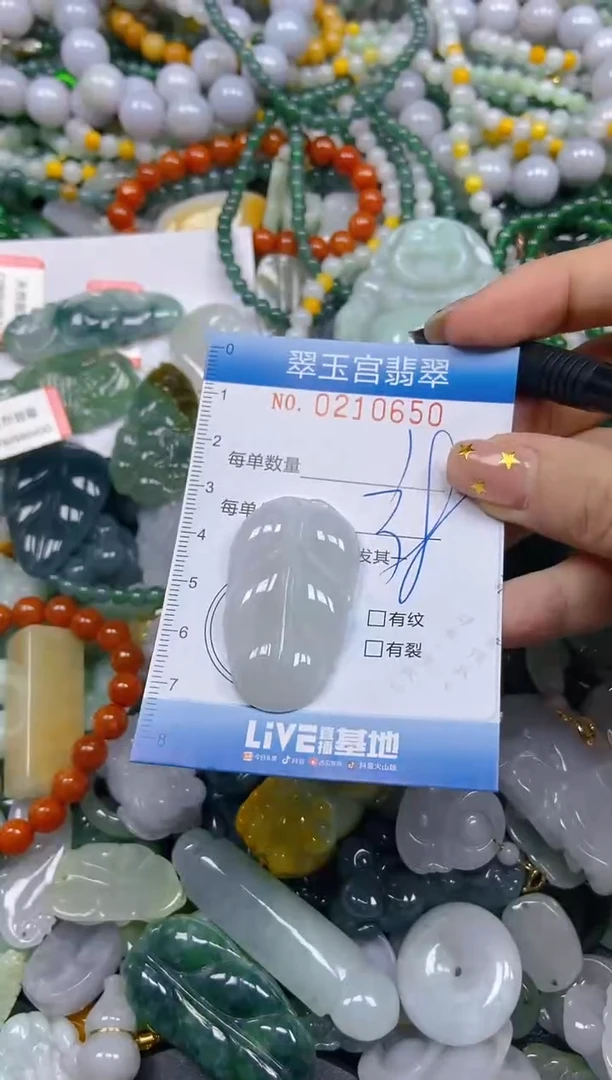 颈饰未镶嵌翡翠闪购C0210650