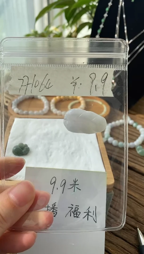 翡翠未镶嵌吊坠(不含链)FF1064