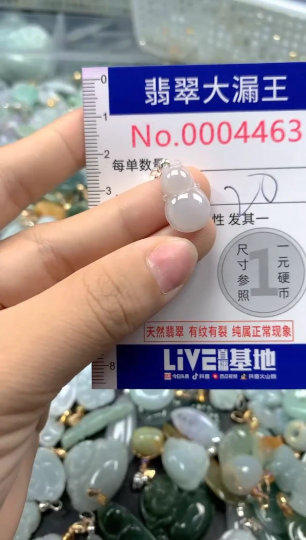 颈饰未镶嵌翡翠4463