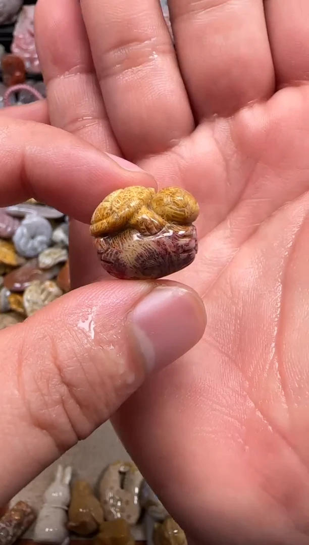 【闪购商品】硅化珊瑚（珊瑚玉）颈饰未镶嵌533