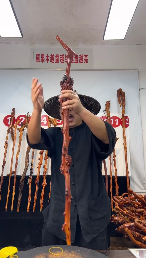 黑果木其他黑果木013