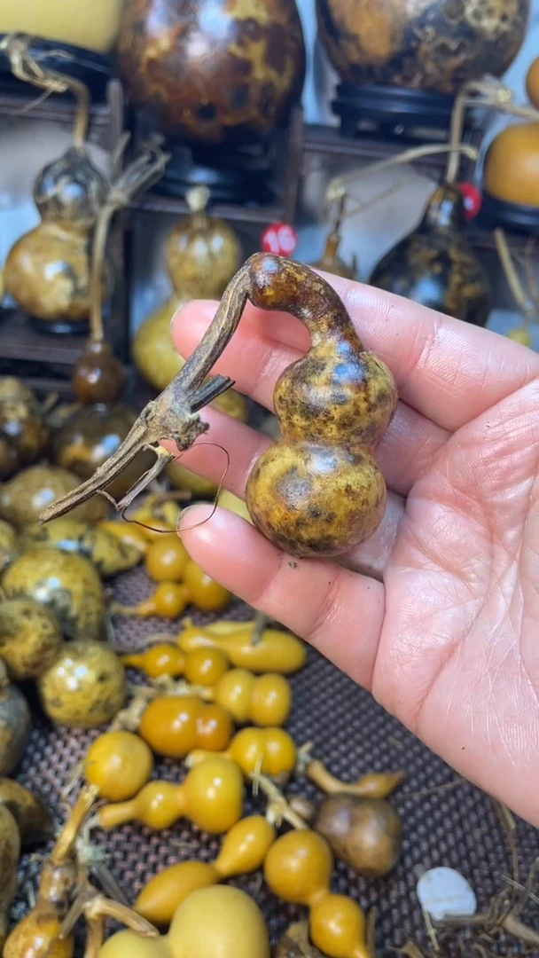 【闪购商品】葫芦葫芦葫芦葫芦葫芦