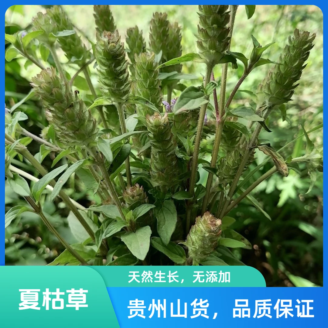 正宗贵州高原夏枯草散装干货中药材干净无硫自然晒干