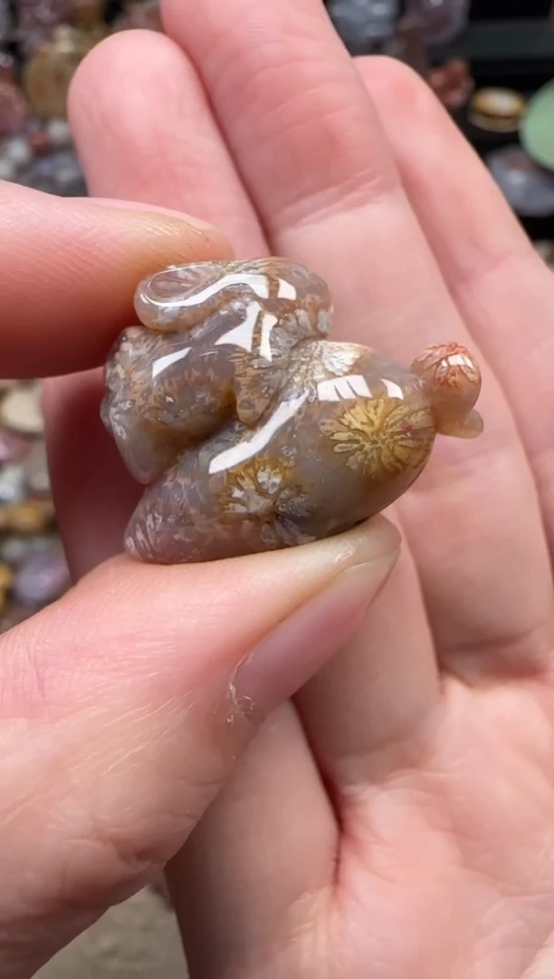 颈饰未镶嵌硅化珊瑚（珊瑚玉）402