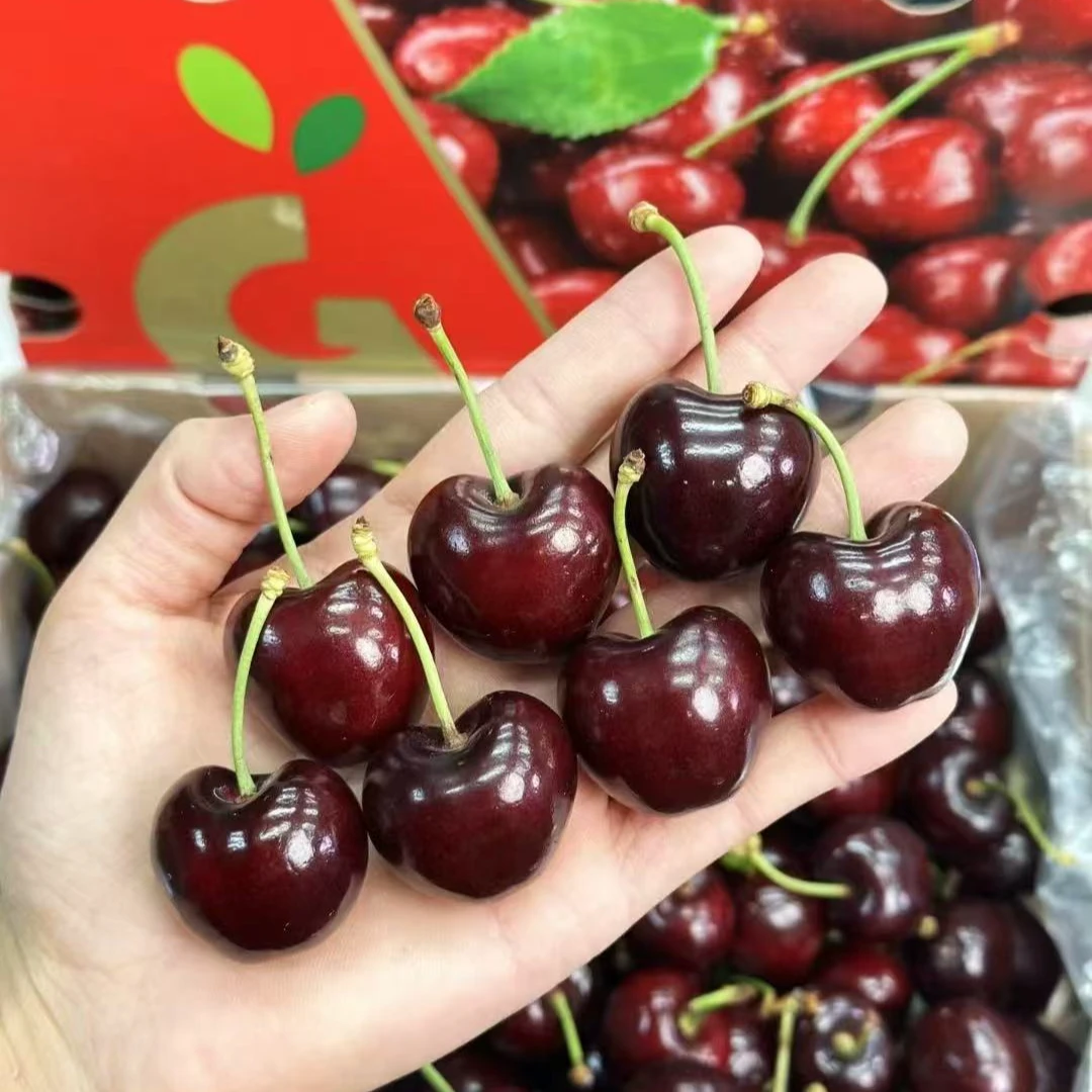 智利进口海运车厘子内附果径卡新鲜孕妇水果4J顺丰包邮送礼佳品