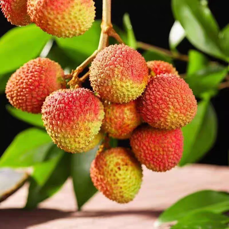 顺丰广东省妃子笑荔枝|明日达|现采现摘新鲜发货茂名妃子笑同城配送净重0.5/2/4斤荔枝同城送广东省