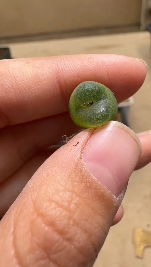 【闪购商品】1/21-38