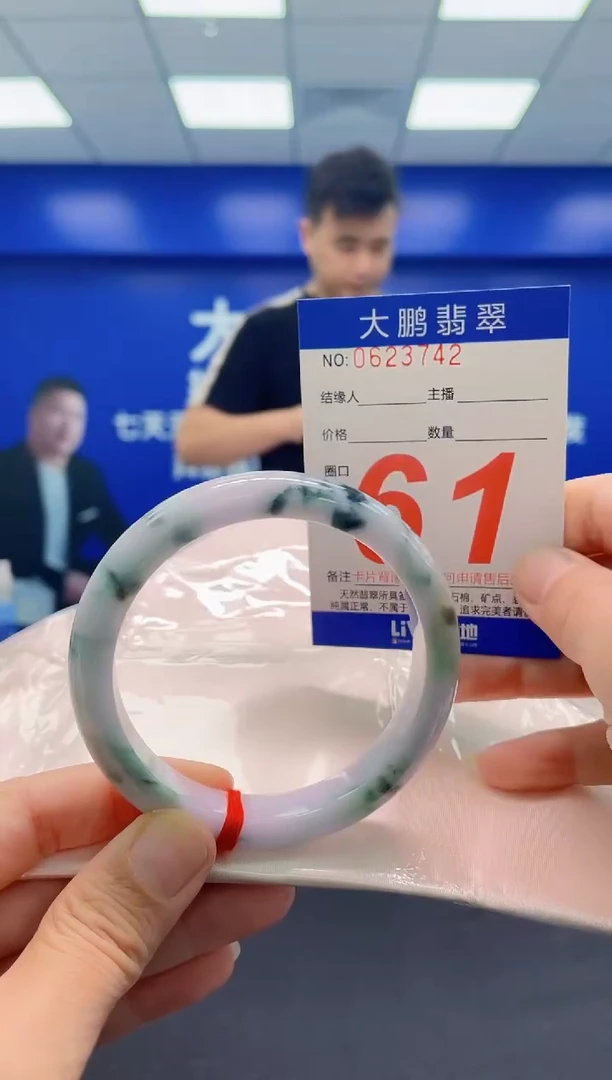 未镶嵌手镯翡翠AAAAAAAAA