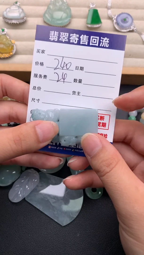翡翠未镶嵌颈饰10138523