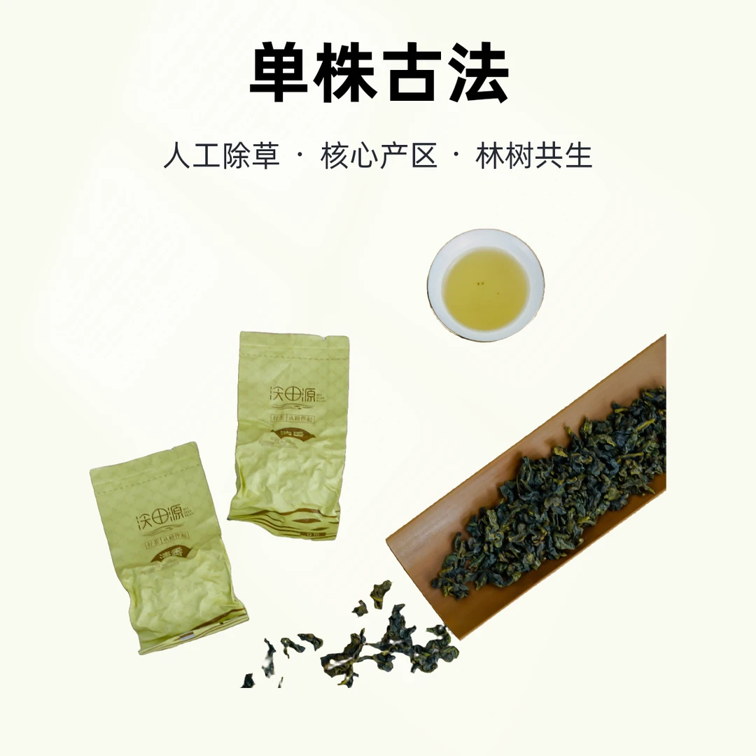 沃田源生态铁观音清香型高山产区无农残224g【千亩单株开创者】