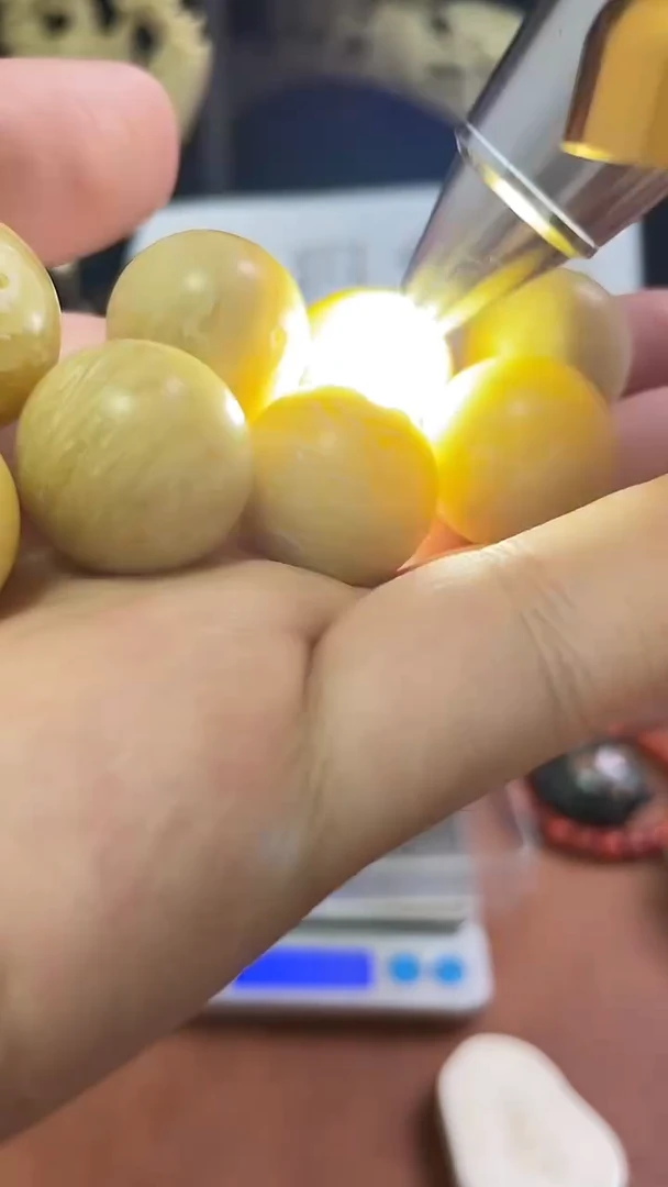 猛犸社会牛20m单珠