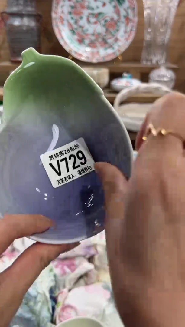 瓷片枝*.      V729
