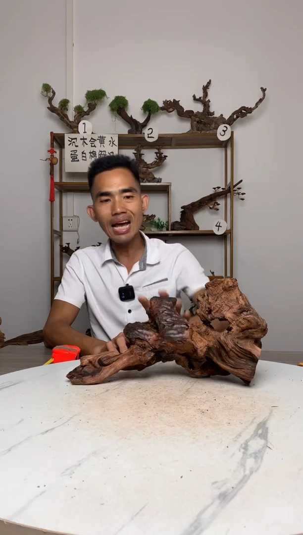 辰*鱼缸造景沉木摆件