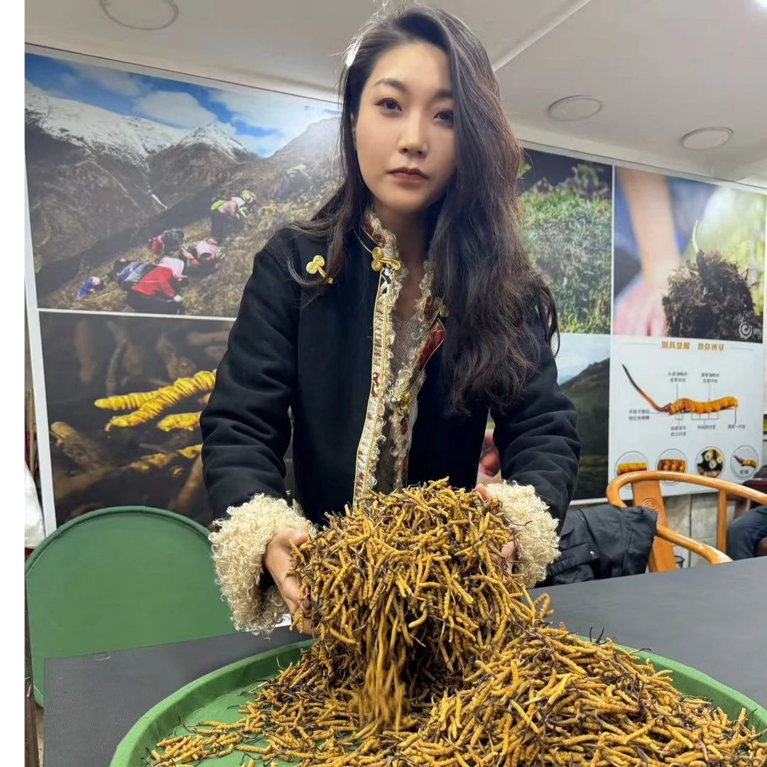 头期玉树【4根一克】冬虫夏草中大草送礼款