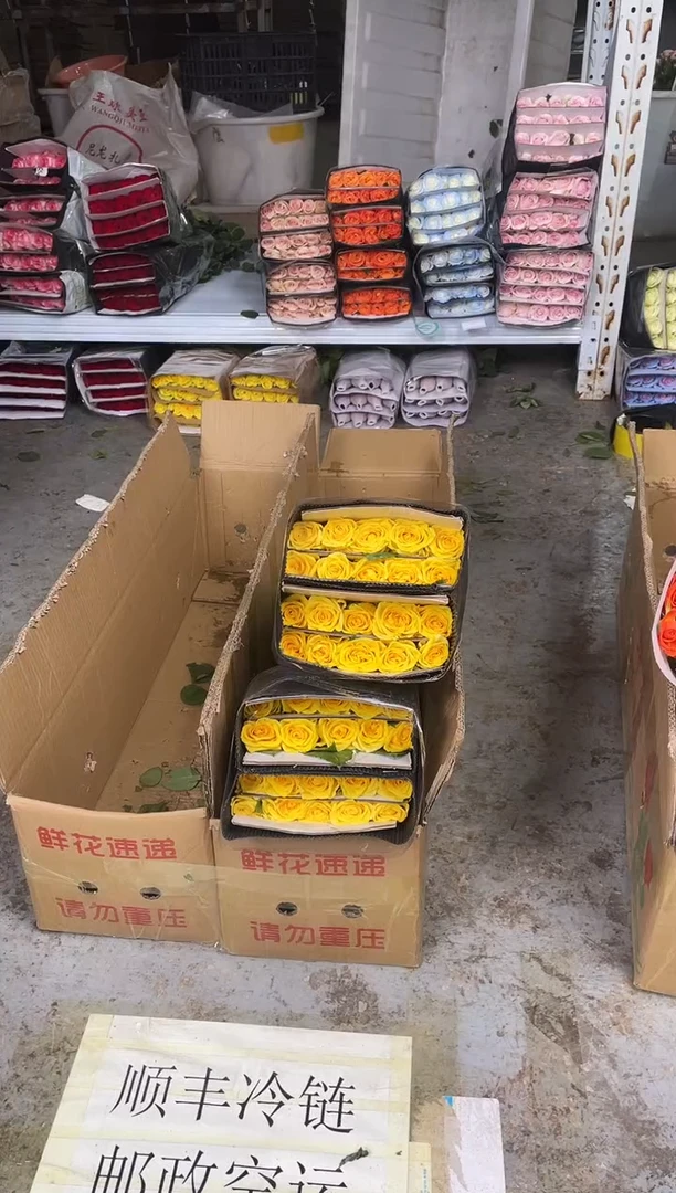 金枝玫瑰玫瑰40枝