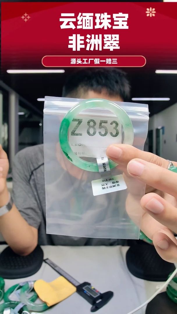 未镶嵌手镯石英质玉（非洲翠）53圈口Z853