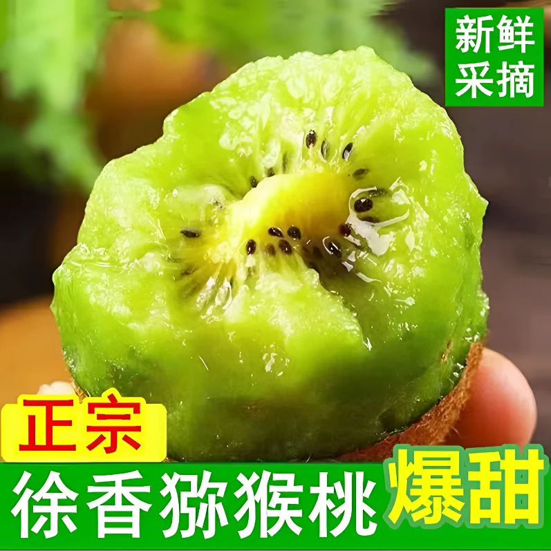 陕西正宗徐香猕猴桃果园产地现摘现发鲜嫩多汁坏果包赔60g-120g