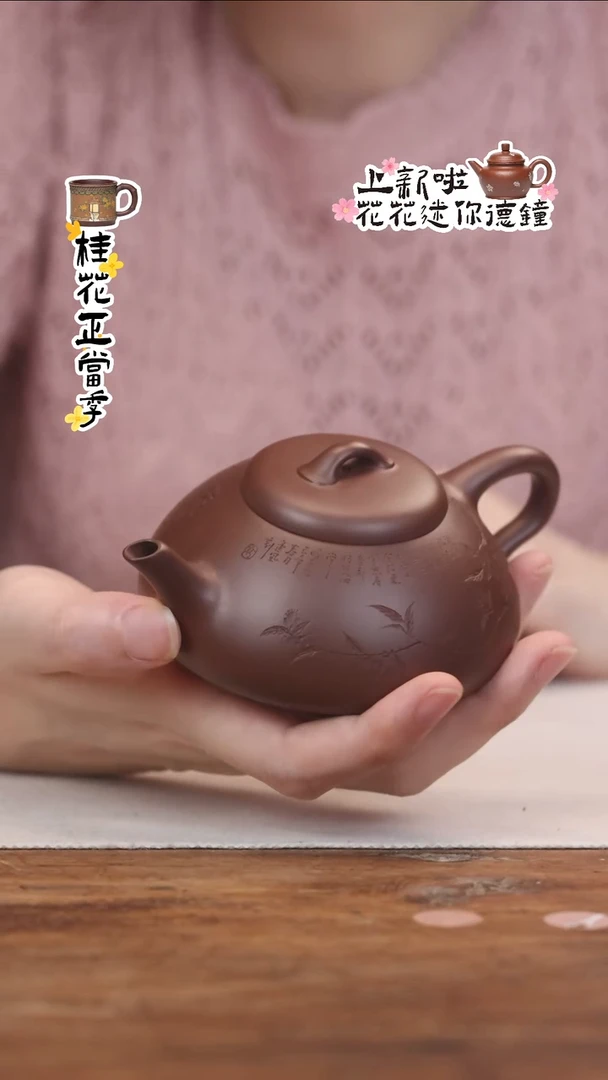 茶壶紫砂紫泥海棠石瓢