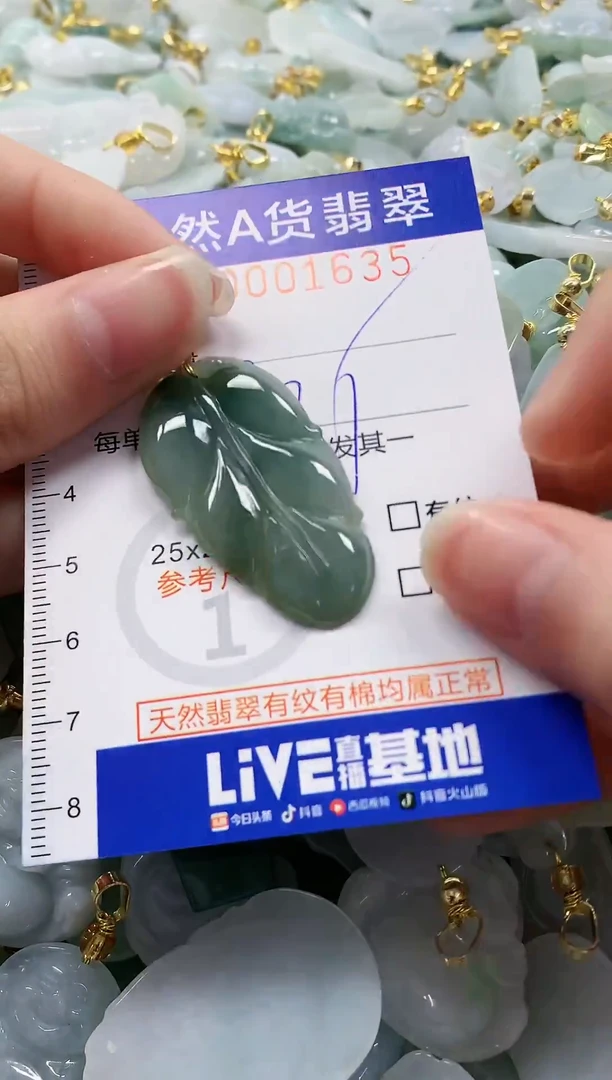 颈饰未镶嵌翡翠纯天然a货翡翠