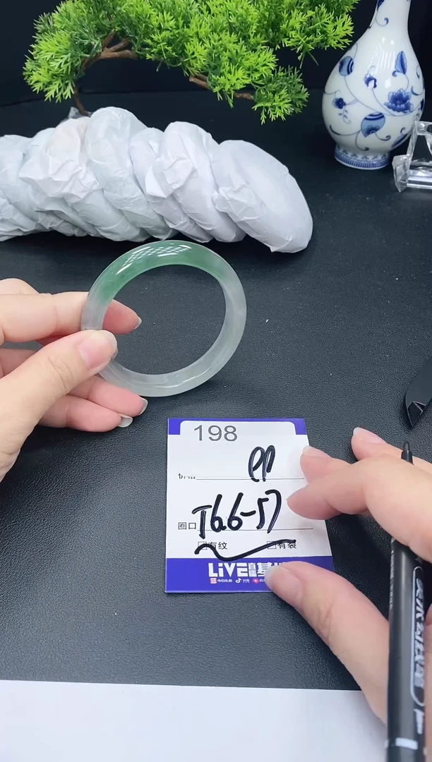 未镶嵌手镯翡翠198