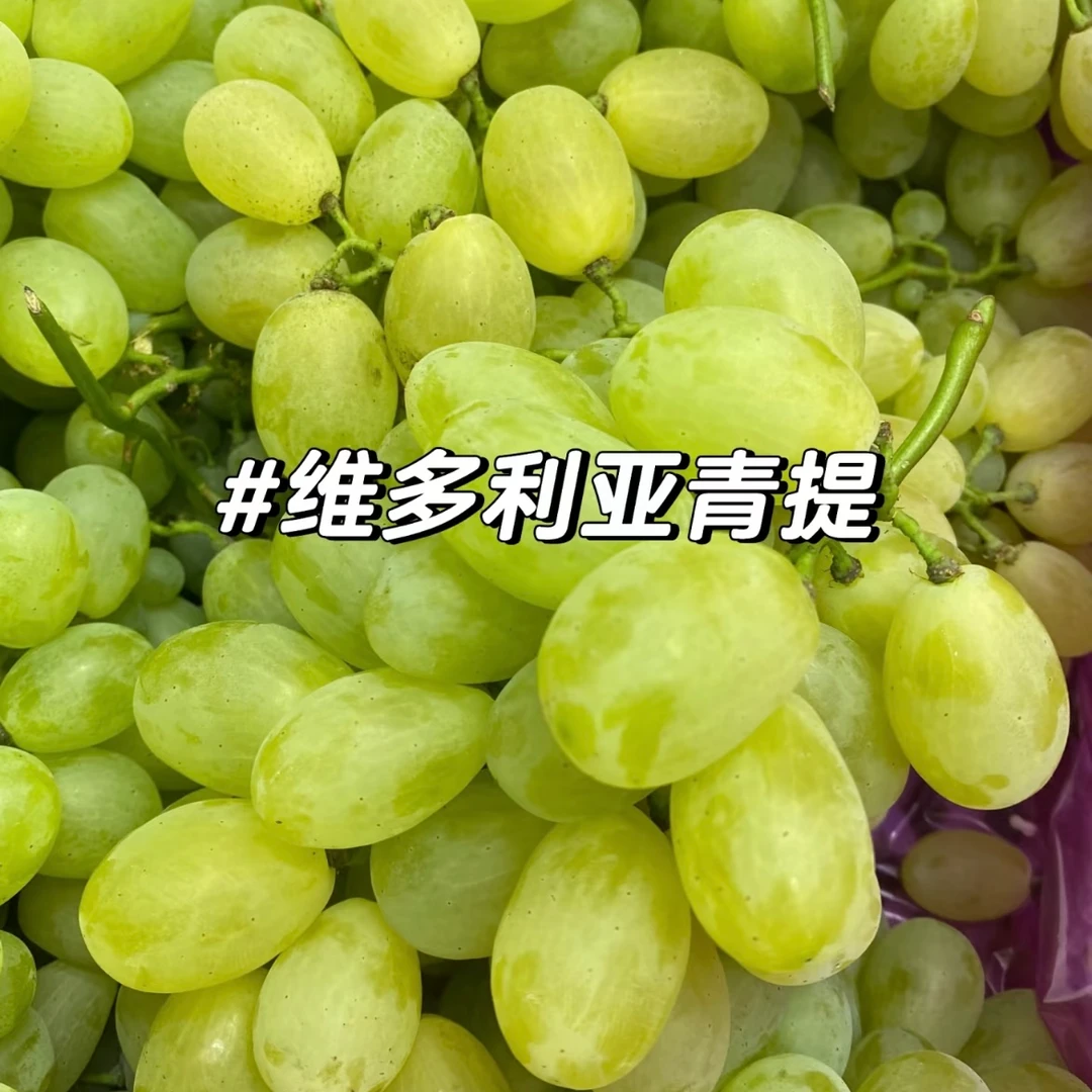 维多利亚青提（甜地球）1斤&2斤｜口感脆甜提子