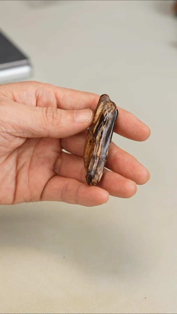 沉香沉香碎屑东马老沙巴沉水11.3g