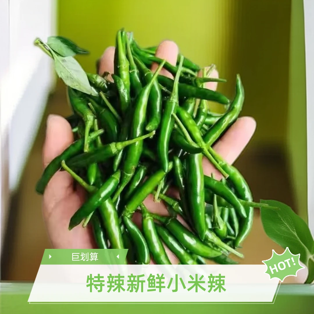 广东正宗特辣新鲜小米椒朝天椒指天椒农家现摘蔬菜超辣小尖椒包邮