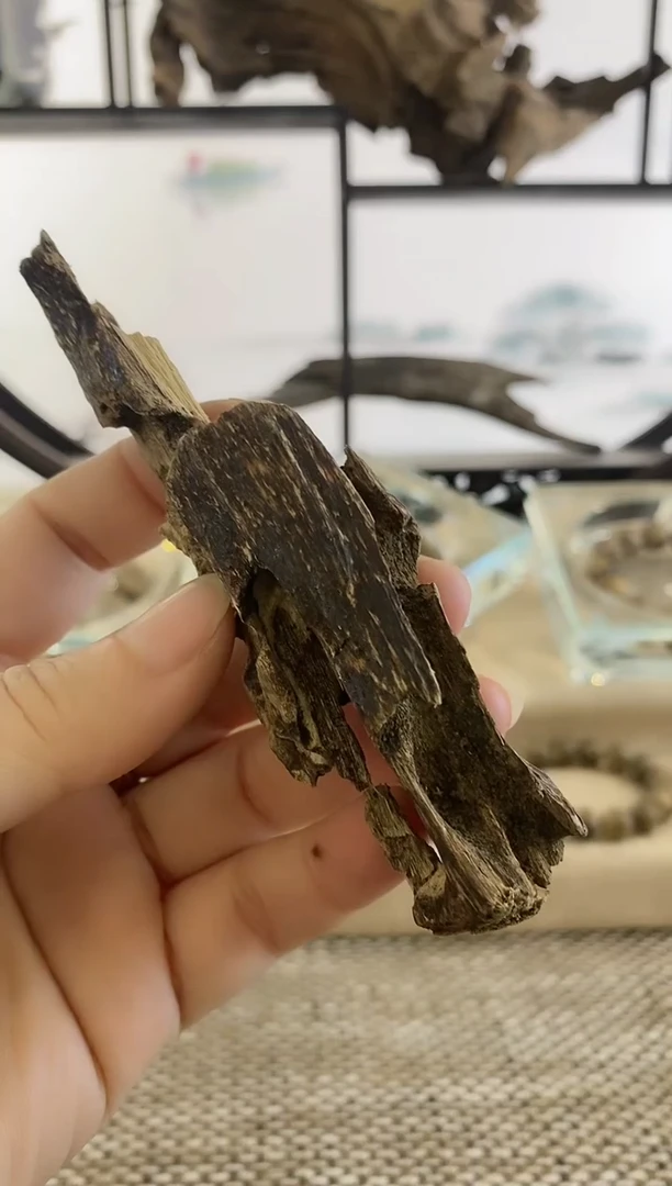 【闪购商品】沉香摆件海南霸王岭高油虫蝼17克