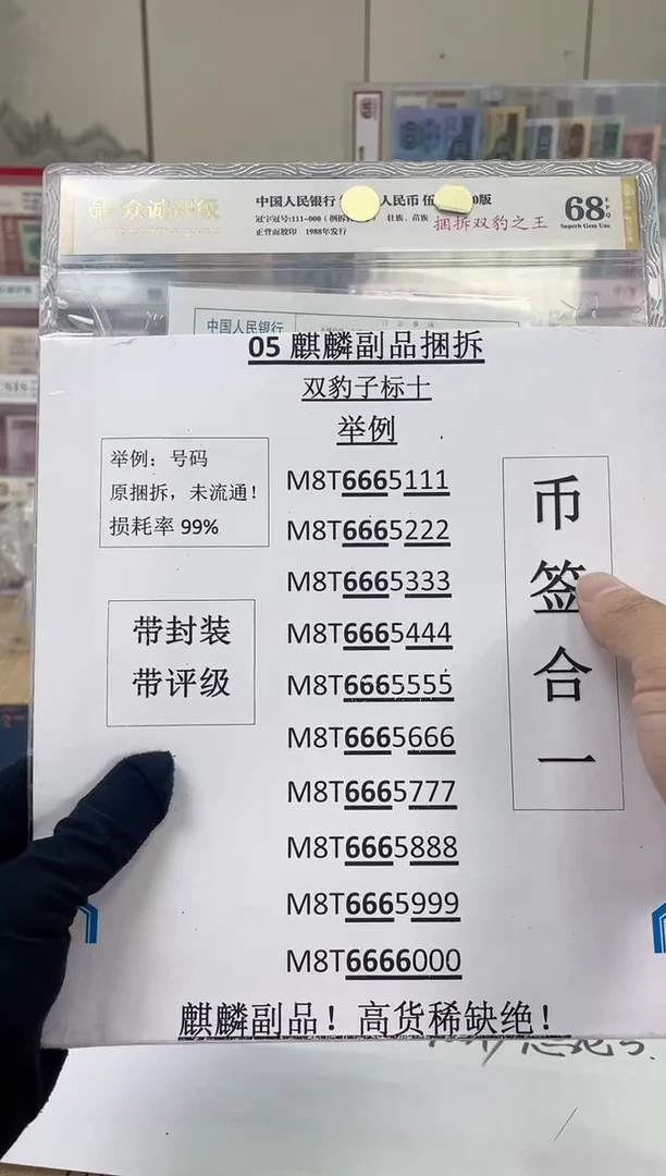 双豹子【捆拆双豹之王】