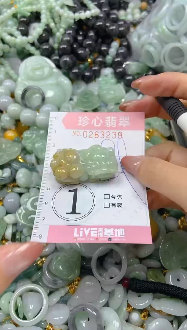 翡翠未镶嵌颈饰闪购0263239